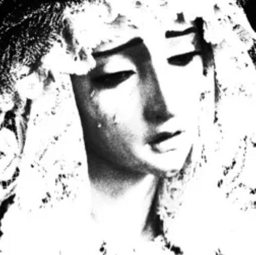 Moxy profile image
